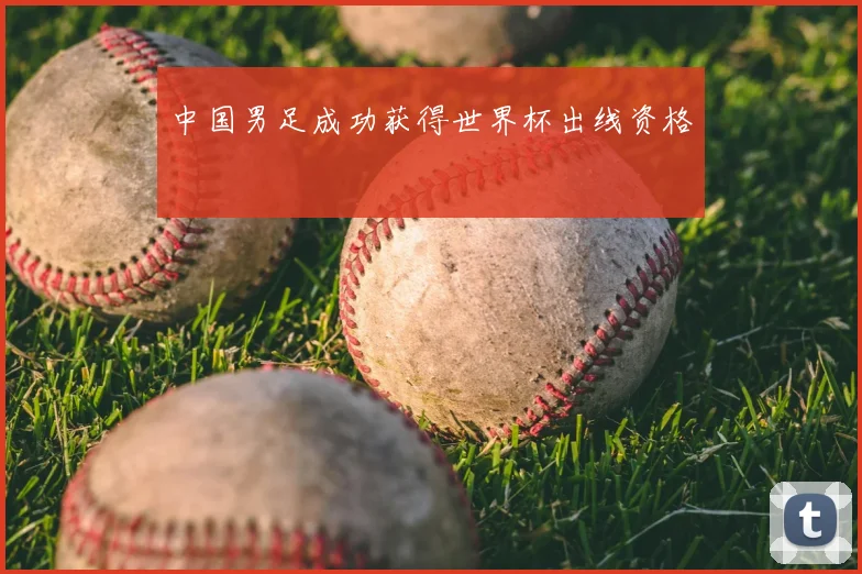 中国男足成功获得世界杯出线资格