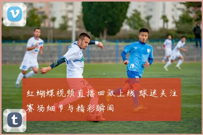 红蝴蝶视频直播回放上线 球迷关注赛场细节与精彩瞬间