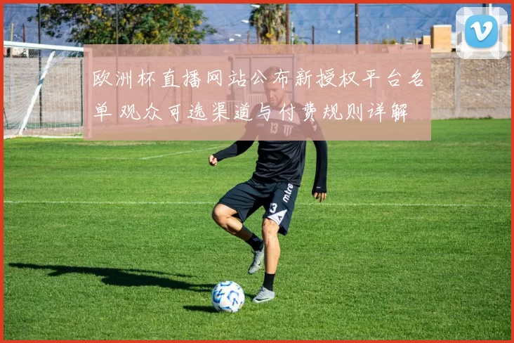 欧洲杯直播网站公布新授权平台名单 观众可选渠道与付费规则详解