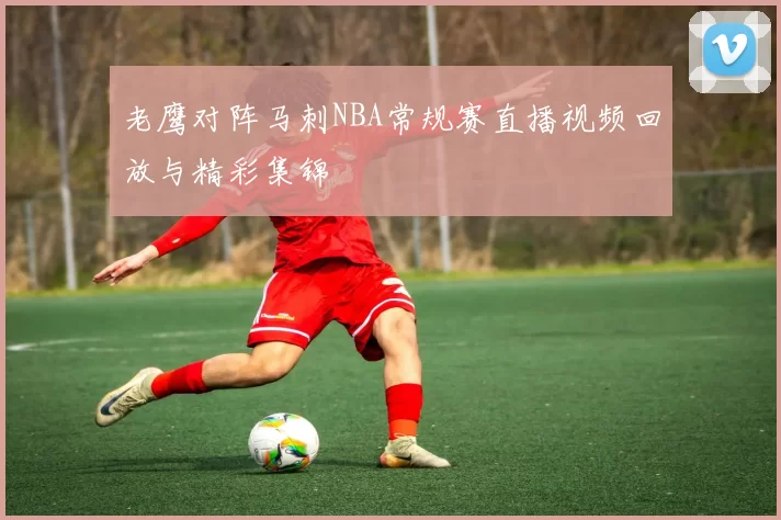 老鹰对阵马刺NBA常规赛直播视频回放与精彩集锦