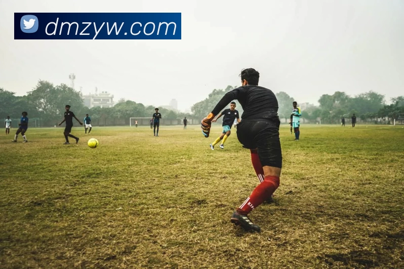 EMC易倍(官方网站)中国大陆 - 科技有限公司APP 封面图